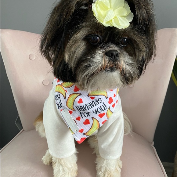 Meet your Posher, Carolyn - Picture 7 of 8